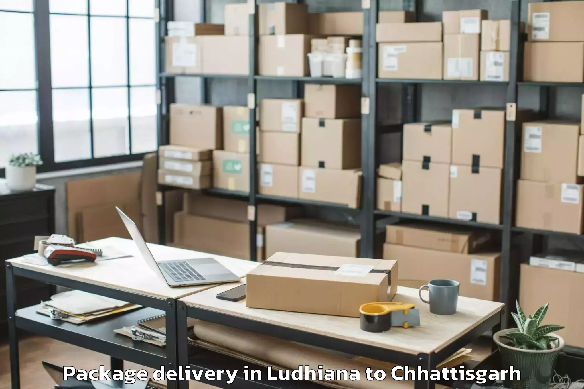 Easy Ludhiana to Gaurela Package Delivery Booking